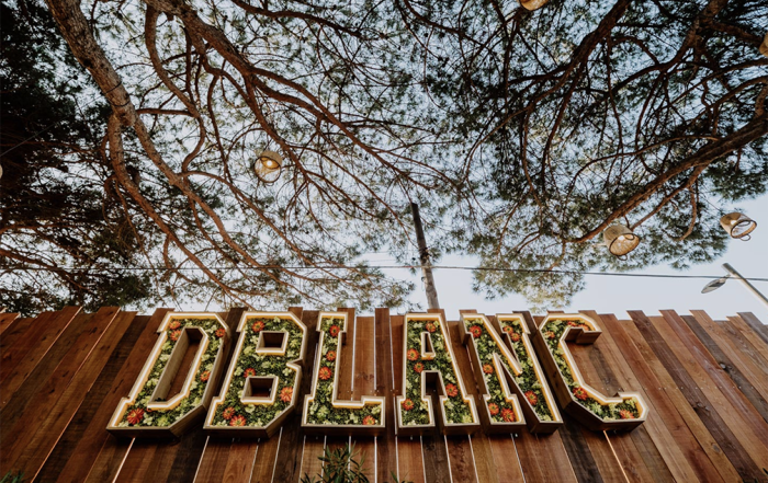 slow-wedding slow weddings beach weddings